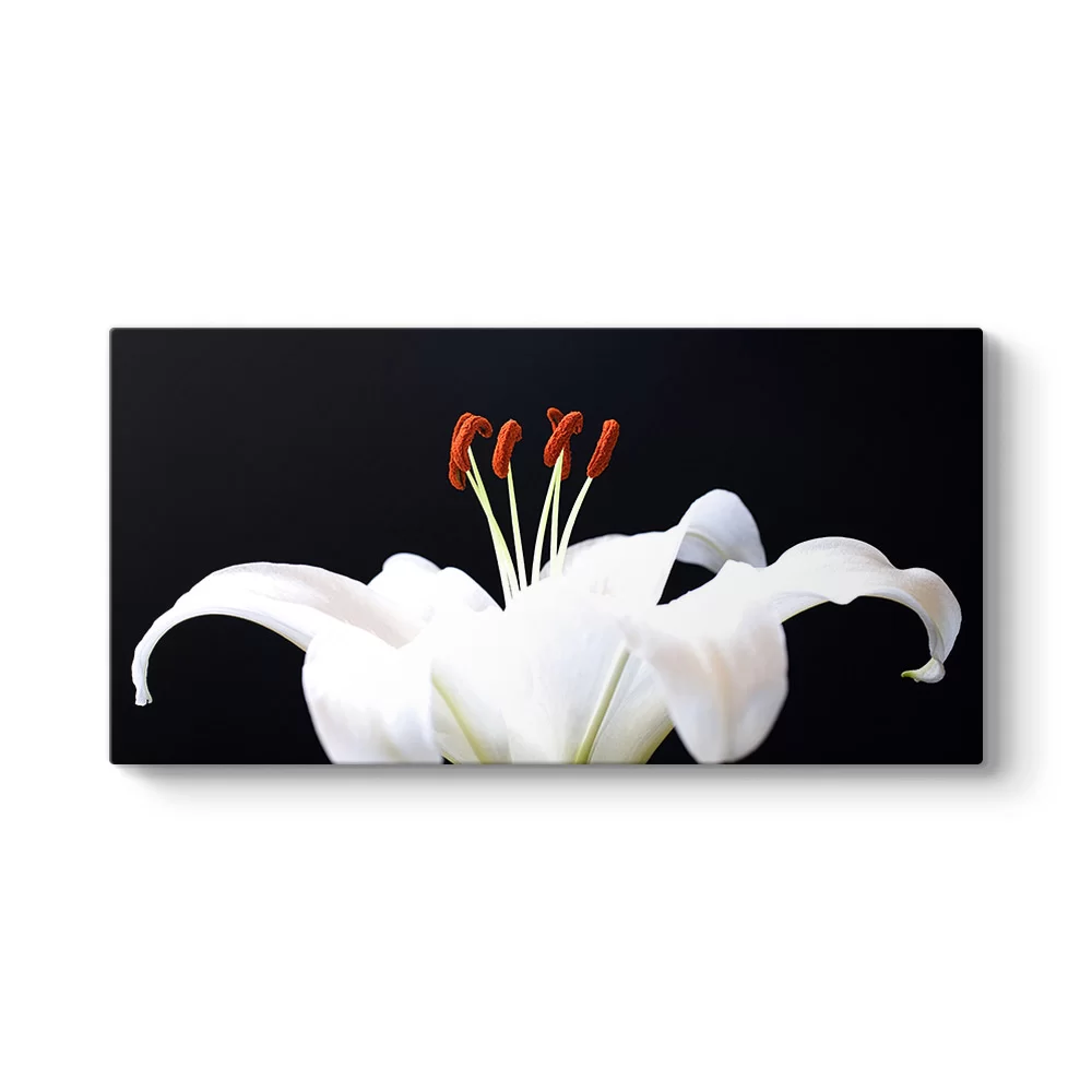 Blossom Tablosu - Model 5